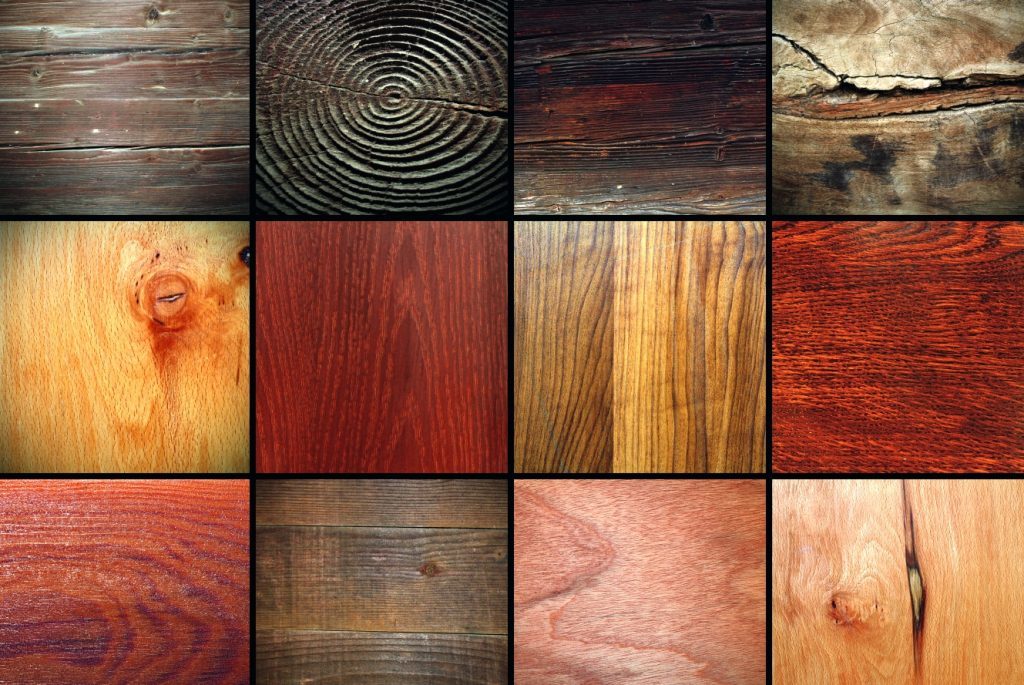 Ценные породы древесины