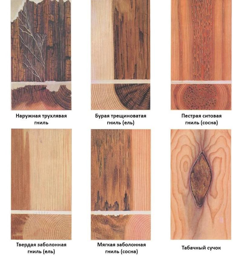 Чем отличаются дефекты от пороков древесины
